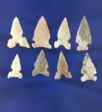 Set of eight assorted bird points found in Texas, largest is 15/16