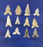 Set of 12 assorted Bird Points found in Texas, largest is 3/4