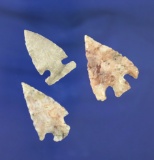 Set of three Southwestern U. S. Arrowheads in very nice condition, largest is 1 5/8