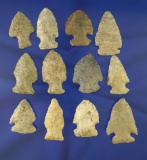 Set of 12 assorted arrowheads found in Michigan, largest is 1 3/4