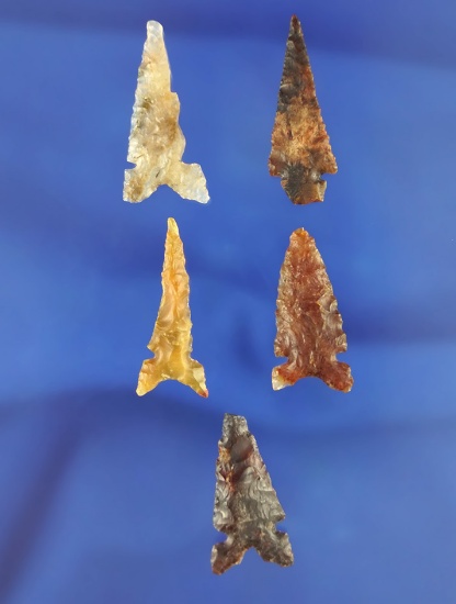 5 assorted arrowheads made from quality material, largest is 1 3/16". California.