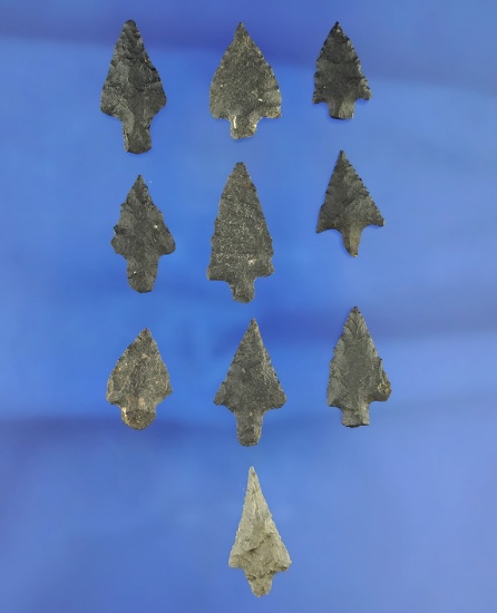 Set of 10 assorted arrowheads found in northern California, largest is 1".