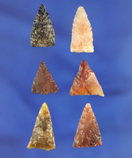 Set of six very nice Triangle points found in northern California, largest is 13/16".