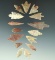 Large group of 15 assorted African Neolithic arrowheads found in the northern Sahara desert