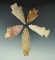 Group of assorted Midwestern arrowheads, largest is 3 1/16