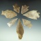 Set of seven assorted arrowheads found in Texas, largest is 3 1/4