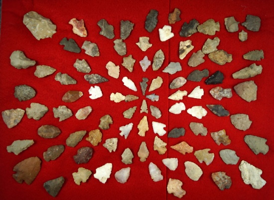 Very large group of assorted New Meixco arrowheads, largest is 1 3/4".