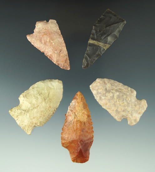 Set of five assorted Midwestern arrowheads, largest is 1 15/16".