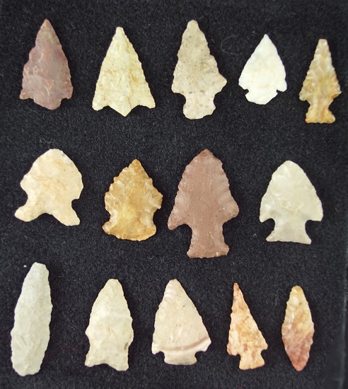 Set of 14 assorted  New Mexico  arrowheads, largest is 1 1/2".