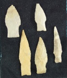 Set of five assorted Texas arrowheads, largest is 3 5/16