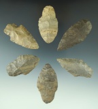 Set of six Adena points found in Michigan, largest is 2 3/16