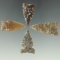 Set of four Sidenotch arrowheads found in the Dakotas, largest is 1 3/8