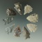 Set of nine assorted arrowheads found the Dakotas, largest is 1 5/16