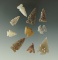 Set of 10 assorted arrowheads found in the High Plains, largest is 1 3/8