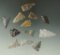 Set of 12 assorted arrowheads found in the Plains region, largest is 1 7/16