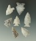 Set of seven arrowheads found in the High Plains, largest is 1 7/16