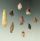 Set of nine assorted arrowheads found near the Columbia River, Kettle Falls, Washington.