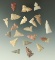 Group of 20 West Texas arrowheads, largest is 1 1/16