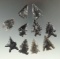 Set of 10 Obsidian arrowheads found near Fort Rock, Oregon, largest is 1 3/16