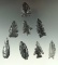 Group of assorted arrowheads found near Fort Rock, Oregon made from Obsidian.