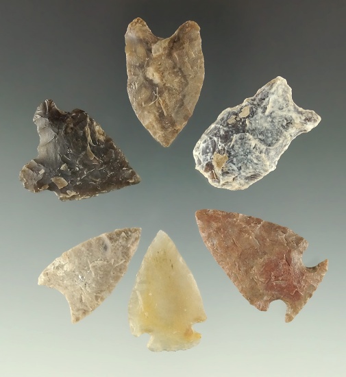 Set of six High Plains arrowheads, largest is 1 1/4".