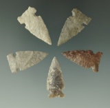 Set of five nice Sidenotch Points found in the Dakotas, largest is 1 3/16