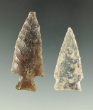 Pair of heavily patinated arrowheads found in North Dakota, largest is 1 7/8