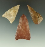 Set of three triangular arrowheads found in the Western United States. Largest is 2 1/16