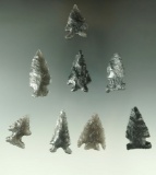 Set of eight Obsidian arrowheads found near Fort Rock Oregon, largest is 1 9/16