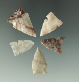 Set of five assorted arrowheads found in Colorado, Montana and Texas. Largest is 1 3/16