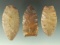 Set of three Paleo point found in Ohio, largest is 2 5/16
