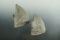 Pair of banded slate butterfly Bannerstone halves found near Norwalk Ohio in 1967 by Jack Hooks.