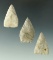 Set of three Jacks Reef Pentagonal points found at the Fox Field site in Kentucky by Bill Wertz.
