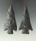 Pair of Coshocton Flint Cornernotch points, largest is 3