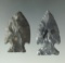 Pair of Coshocton Flint Intrusive Mound points found in Ohio, largest is 1 3/4