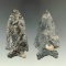 Pair of Coshocton Flint Bifurcates found in Ohio, largest is 2 11/16