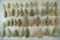 Set of 45 assorted arrowheads found in New Jersey and Virginia, largest is 2 1/8