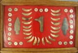 Beautifully framed display of drilled canine teeth and Shell beads found near the Ohio River.