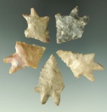 Set of five burinated base Lake Erie Bifurcates found in Ohio. Largest is 1 1/2