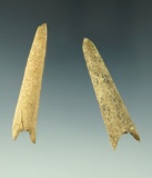 Pair of conical bone projectile points, largest is 2 3/16