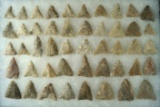 Large group of 47 Triangle points found in New Jersey, largest is 1 5/8
