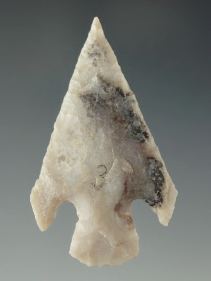 1 11/16" Shumla point found in Texas.