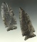 Pair of Coshocton Flint Archaic arrowheads found in Ohio, largest is 3 1/16