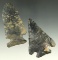 Pair of Coshocton Flint Archaic Cornernotch points found in Ohio. Largest is 2 13/16