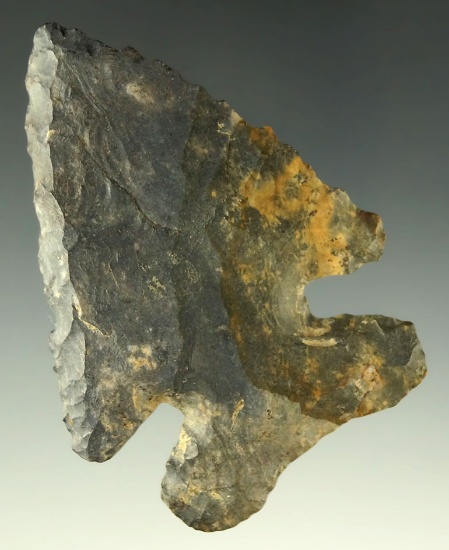 2 3/4" Coshocton Flint Thebes Bevel that is heavily patinated found in Ohio.