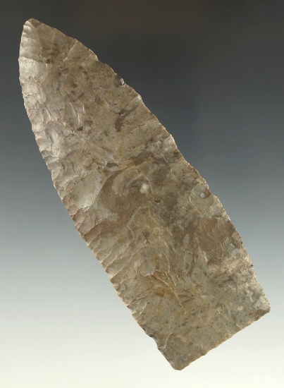 4 3/4" extremely thin Paleo Lance with superb flaking. Xenia Ohio. Bennett COA.