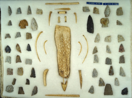 Riker site! Frame of assorted flint and bone  recovered from the Riker site.  Ex. Dr. Jim Mills.