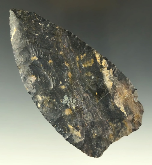 4 5/8" Coshocton Flint Blade that is thin and well flaked found in Ohio. Ex. Dr. Jim Mills.