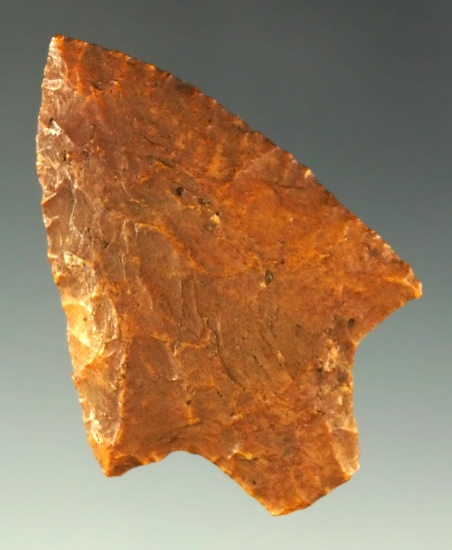 2 1/16" Levy point found in Florida with very nice river patina. Ex. Shewey. Davis COA. Pictured.