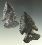 Pair of Coshocton Flint Archaic Thebes Bevels found in Ohio - largest is 2 3/8